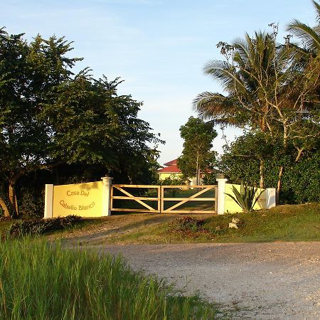 Casa Del Caballo Blanco Ξενοδοχείο San Ignacio Εξωτερικό φωτογραφία