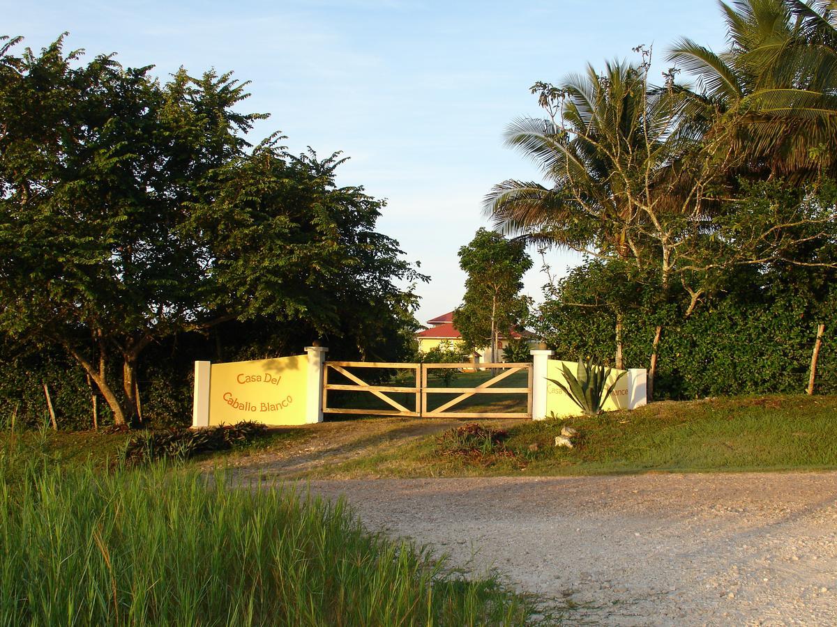 Casa Del Caballo Blanco Ξενοδοχείο San Ignacio Εξωτερικό φωτογραφία