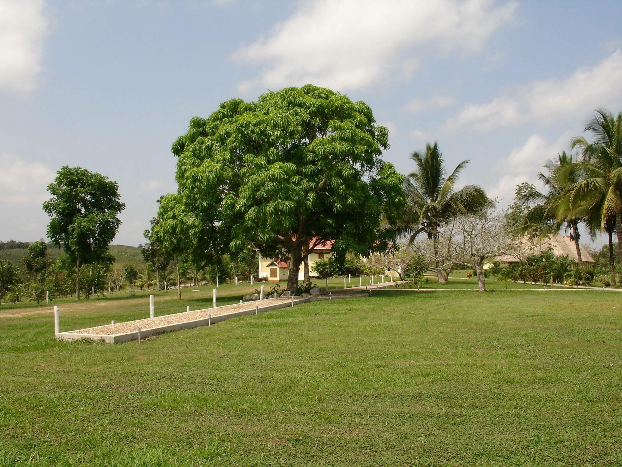 Casa Del Caballo Blanco Ξενοδοχείο San Ignacio Εξωτερικό φωτογραφία