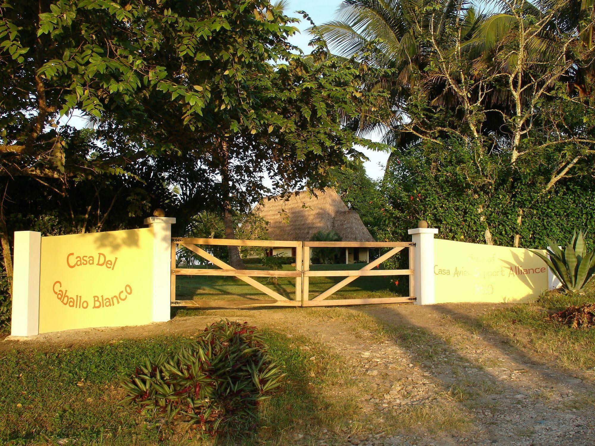 Casa Del Caballo Blanco Ξενοδοχείο San Ignacio Εξωτερικό φωτογραφία